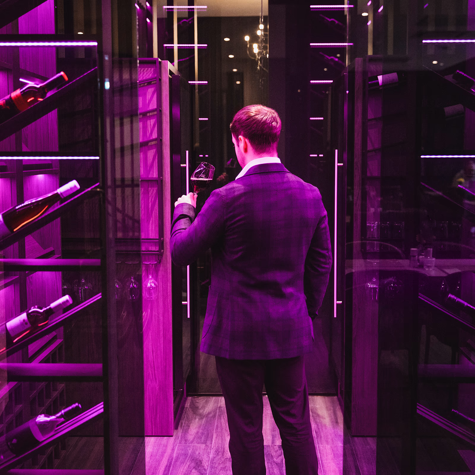 Man in a dark suit from behind stands in front of the glass door of the walk-in wine cellar “The Cube” at Scotty Hotel Hamburg and holds a red wine glass to try; wine racks with lying bottles, purple LED lighting, reflective glass surfaces and wooden floors create a luxurious, intimate atmosphere.
