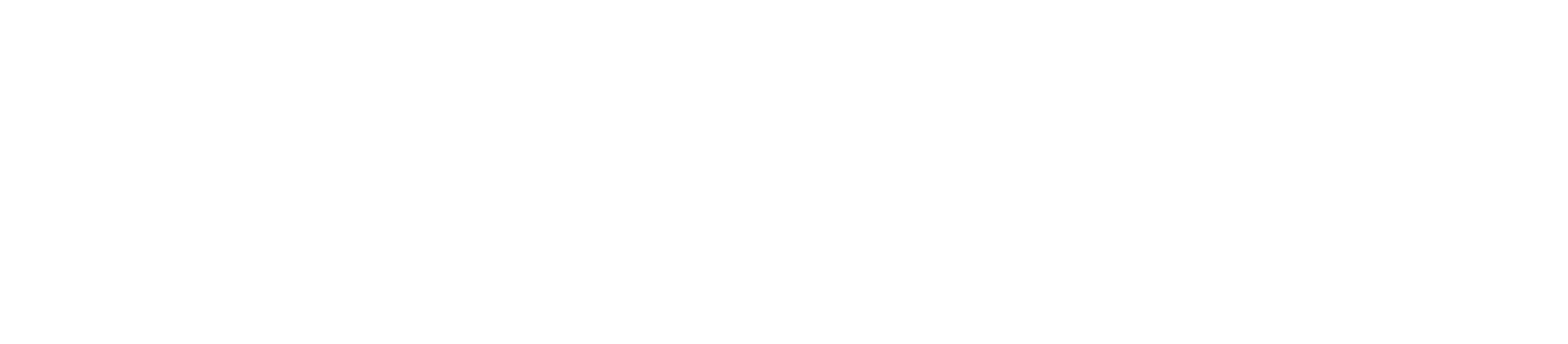 logo steinway