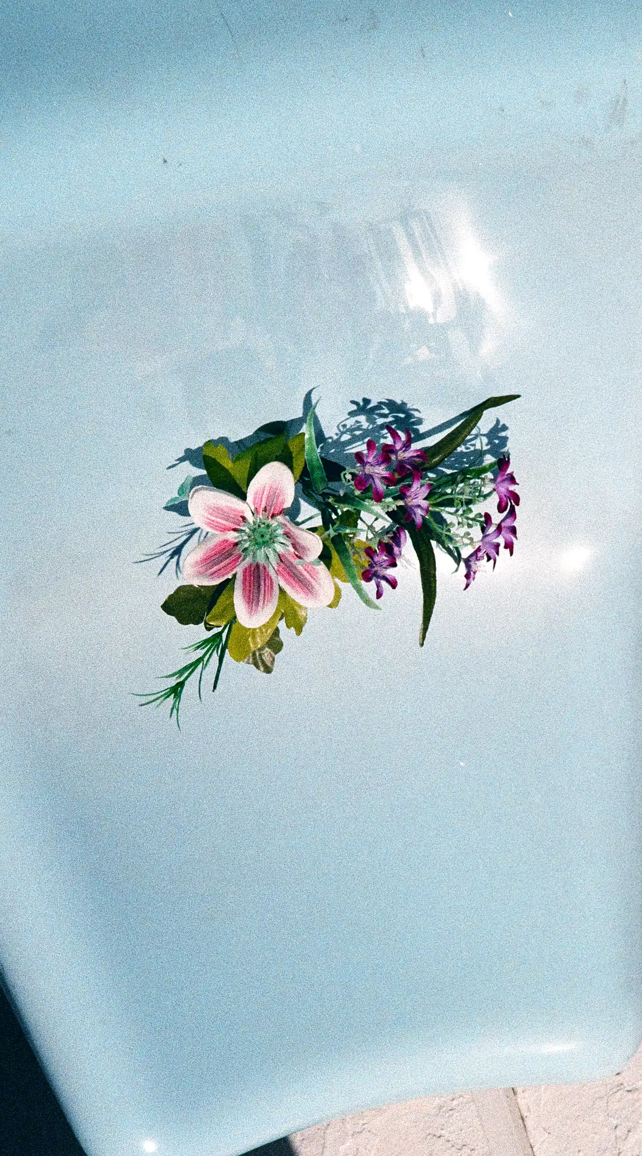 Composition lumineuse de fleurs colorées posées sur une surface bleue, image d’expérimentation et de création sensible.