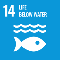 United Nations Sustainable Development Goal 14 icon showing a fish below three wave lines with text 'Life Below Water'.