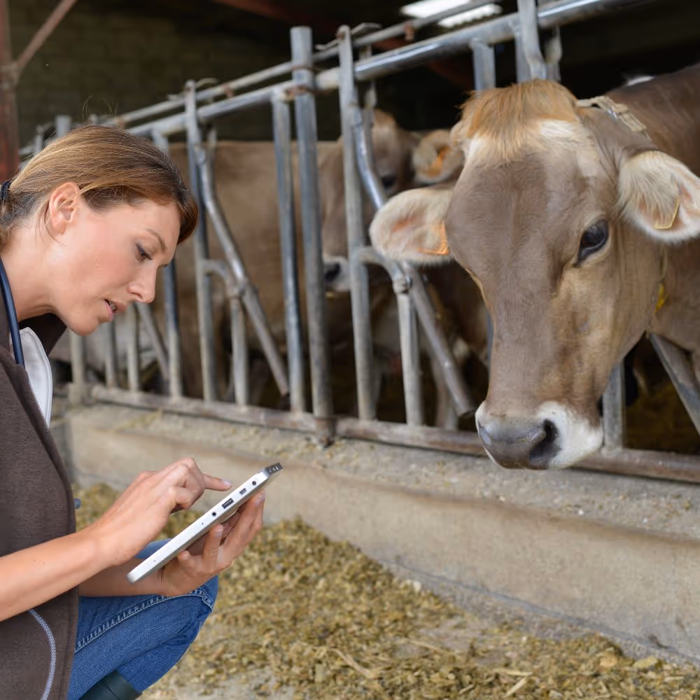 Veterinary Pre-Clinical Studies and Research