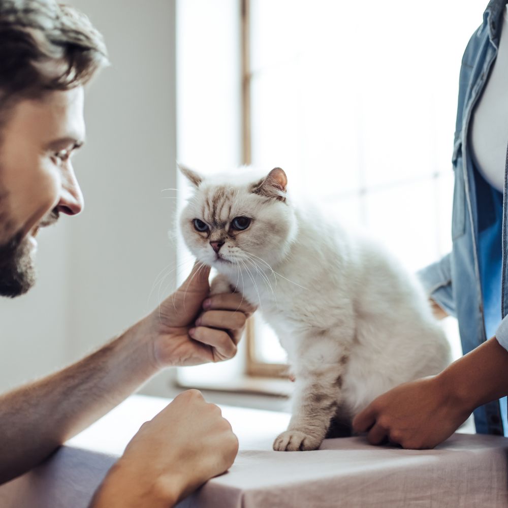 Veterinary Clinical Studies and Clinical Trials for the animal health and nutrition industry