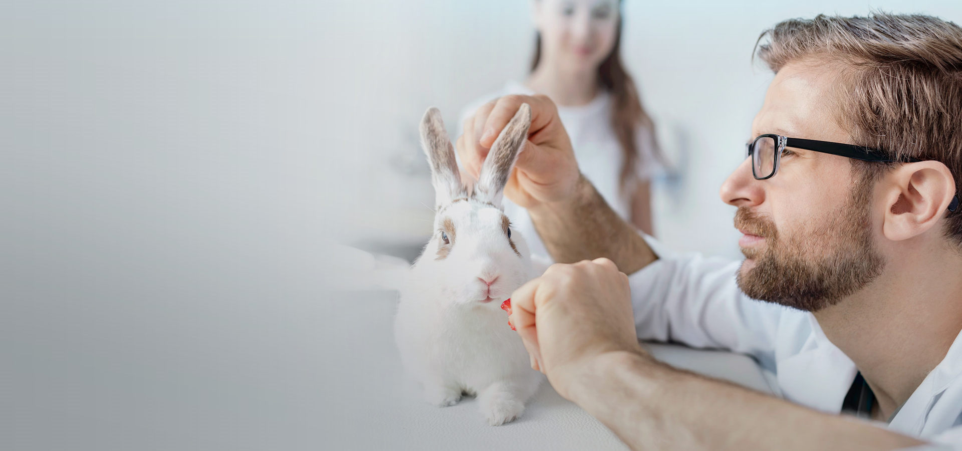 Veterinary Clinical Research Organization CRO/CDMO