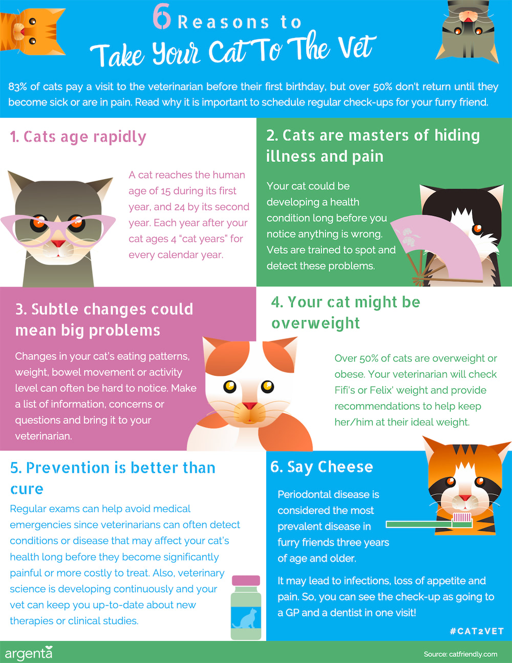6 Reasons to Take Your Cat to the Vet