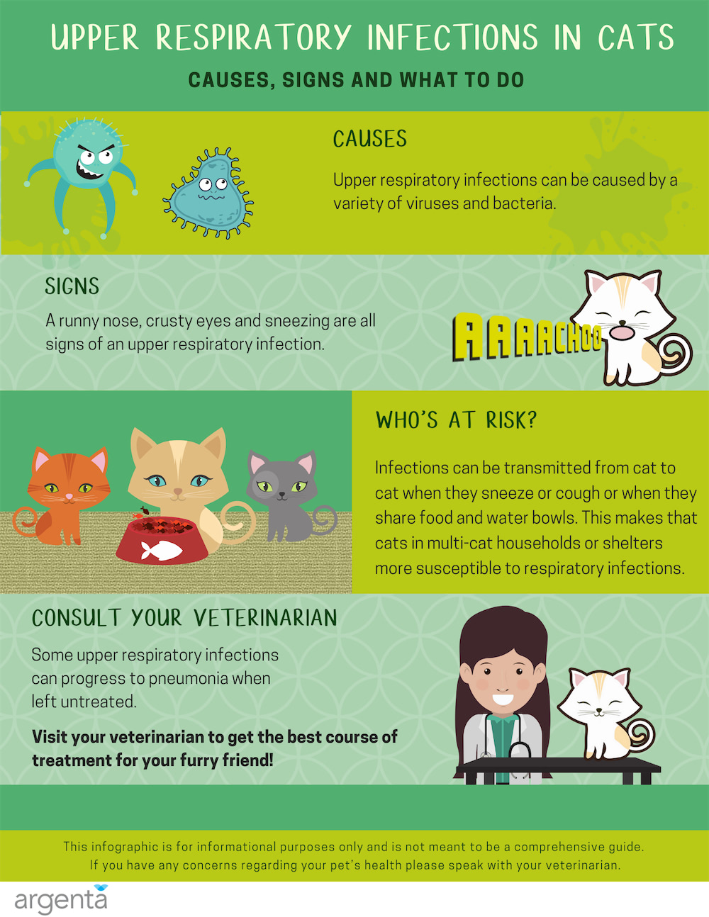 Upper Respiratory Infections in Cats