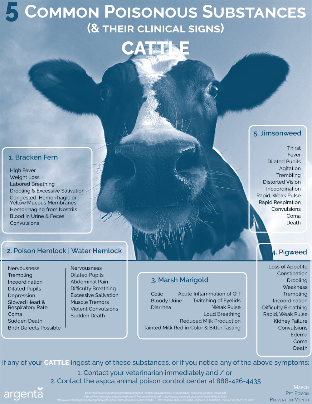 5 Common Poisonous Substances: Cattle