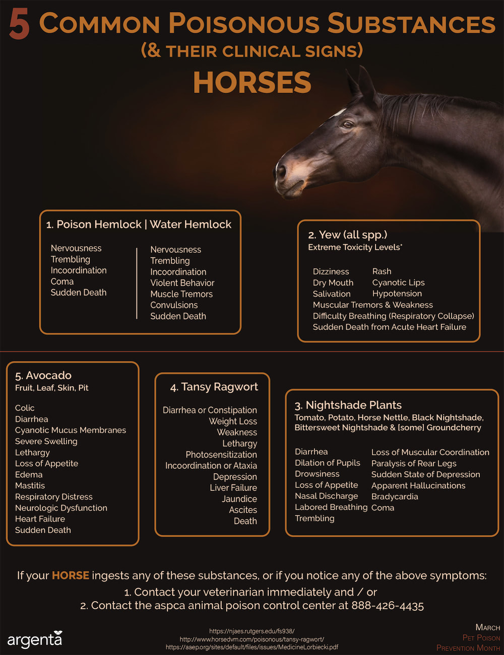5 Common Poisonous Substances: Horses