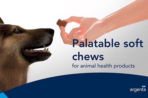 Palatable soft chews for animal health products