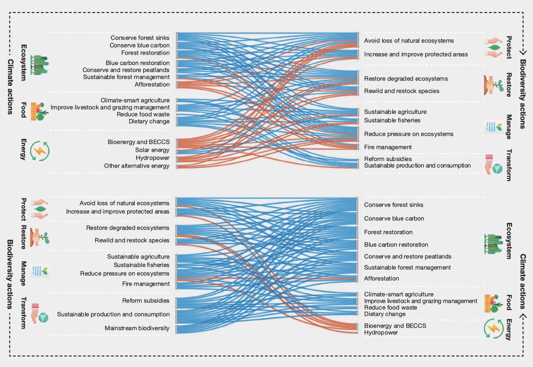 IPCC-IPBES scientific outcome report