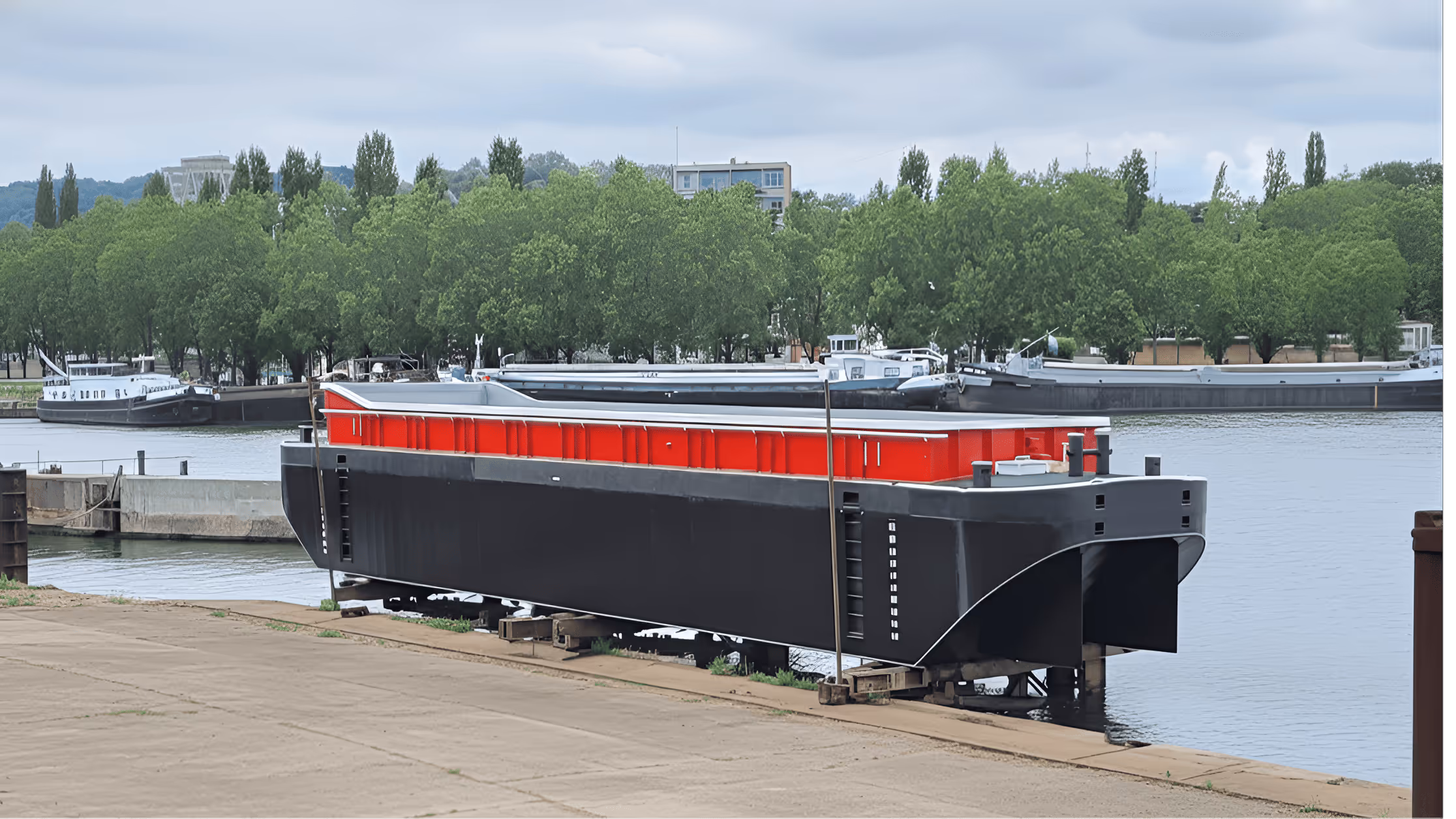 Cruiseschip en vrachtschip varen op de zee met beboste kustlijn op achtergrond.