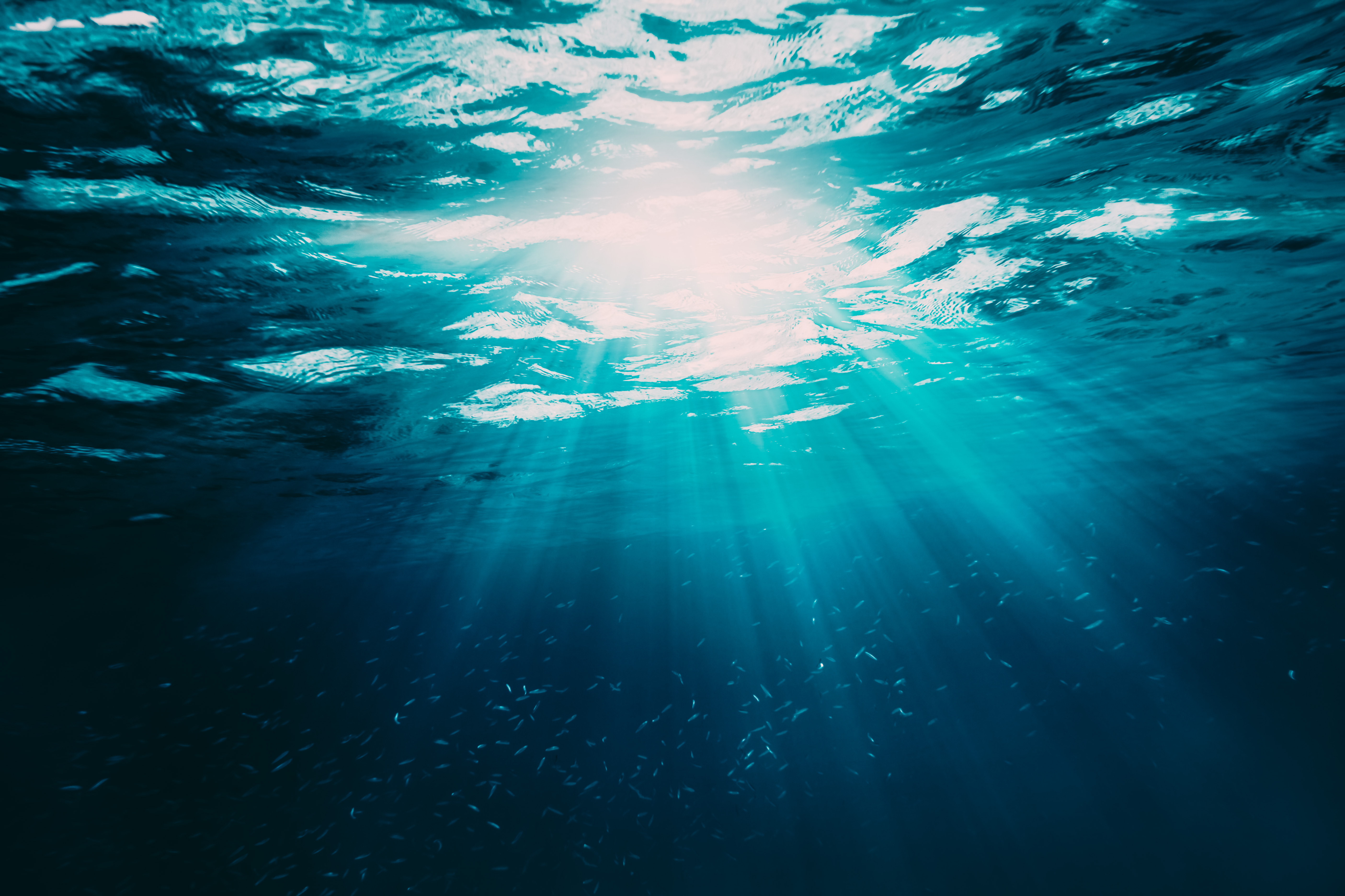 Eco-design & circularity