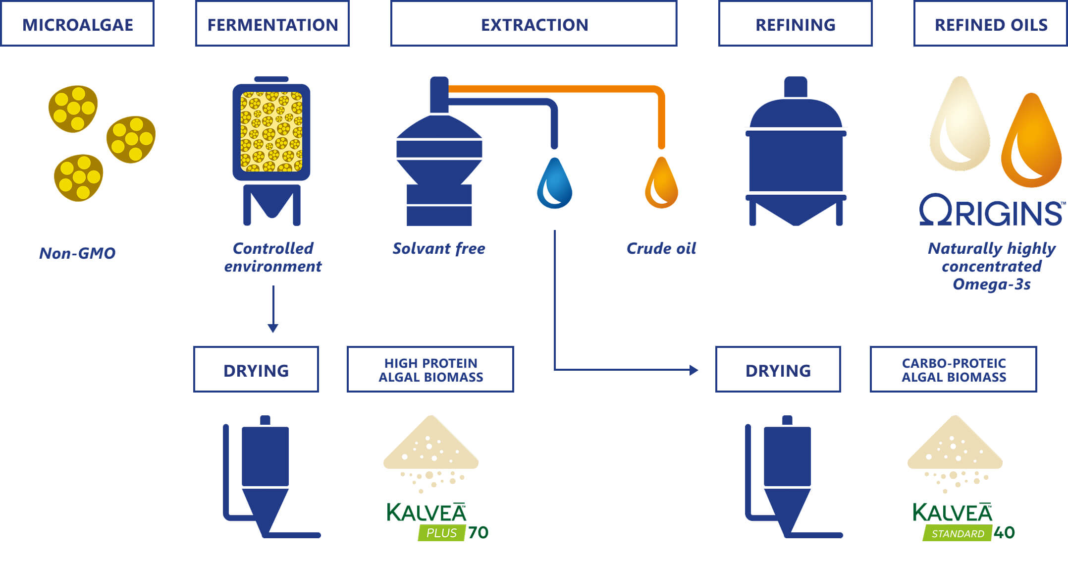Diagram showing microalgae processing steps: Non-GMO microalgae, sterile fermentation, solvent-free extraction producing crude oil, gentle refining process, resulting in naturally highly concentrated refined oils by Origins.
