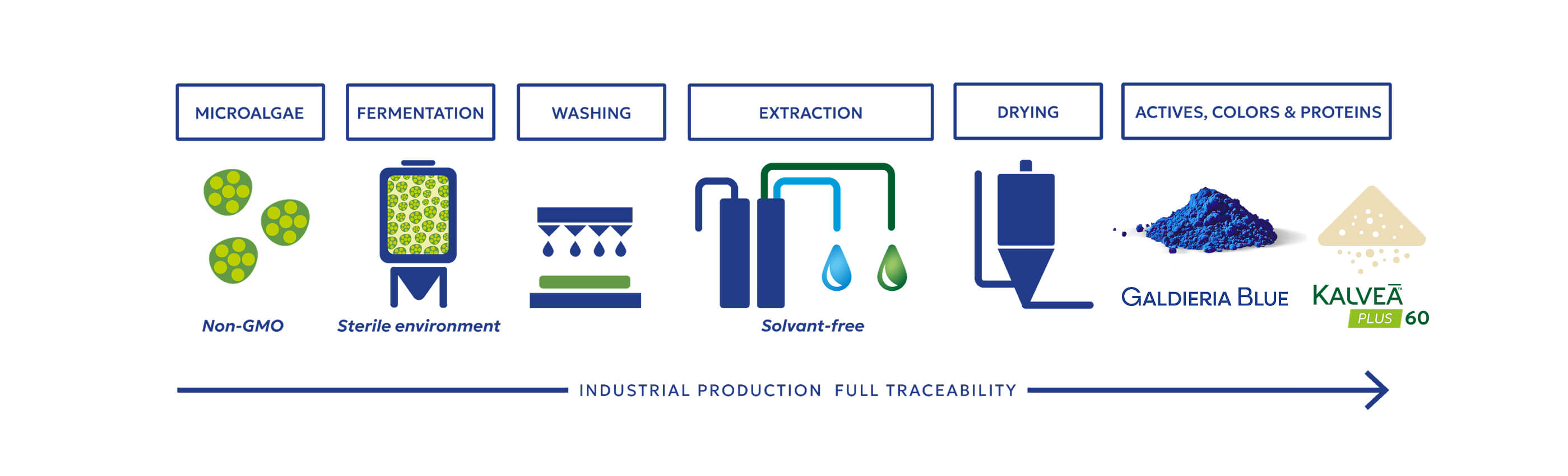 Diagram showing microalgae processing steps: Non-GMO microalgae, sterile fermentation, solvent-free extraction producing crude oil, gentle refining process, resulting in naturally highly concentrated refined oils by Origins.