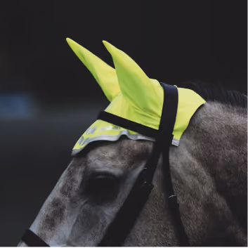 Shires Equestrian Shopify case study thumbnail