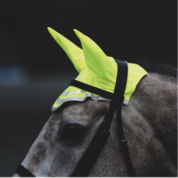 Shires Equestrian Shopify case study thumbnail