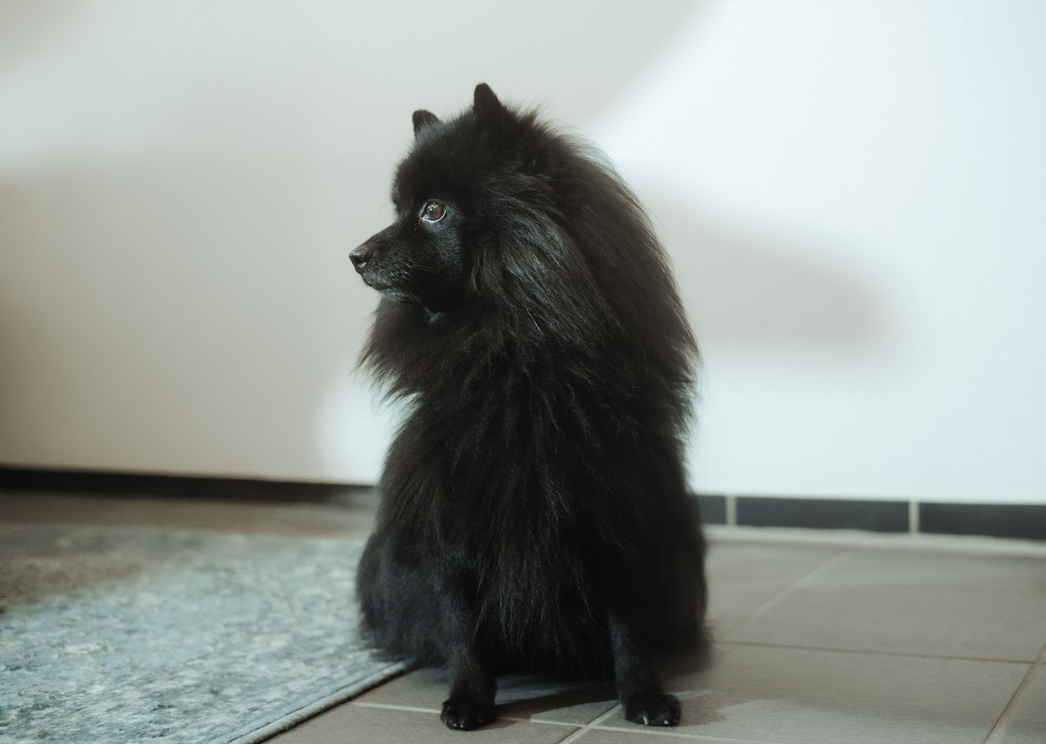 image of distillery community involvement 2