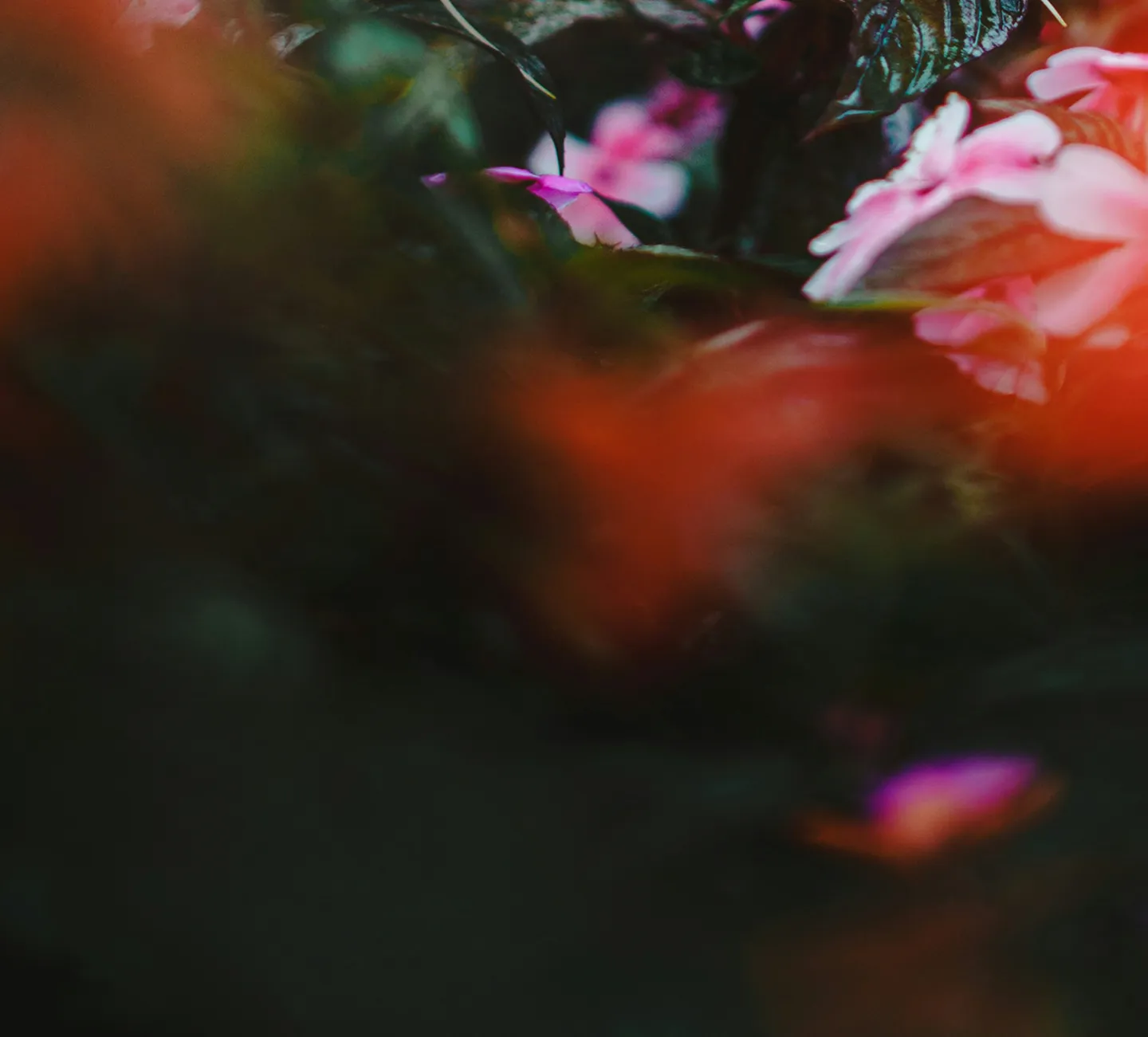 BG
