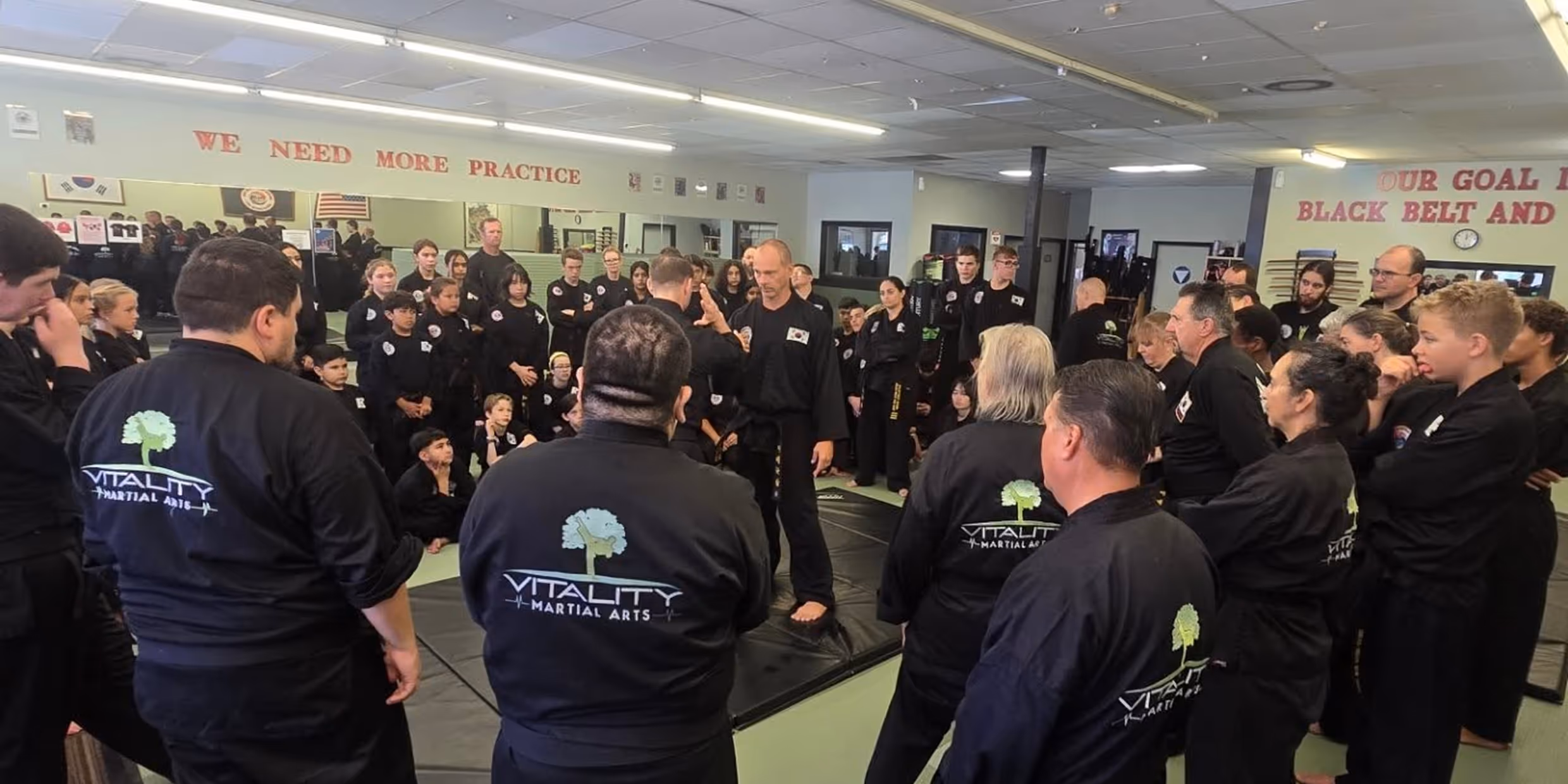 Vitality Martial Arts Logo Hero