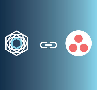 Work V2 Single Image