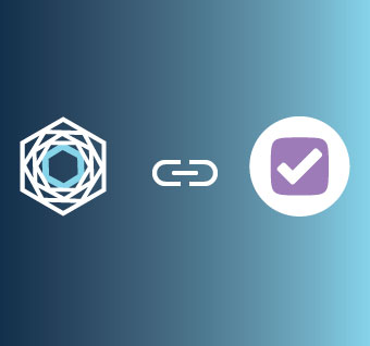 Work V2 Single Image