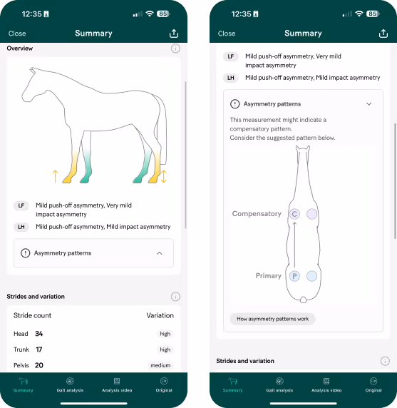 CP-Fenix-1-new-rounded