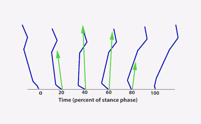 blog-locomotion-image-4-grey