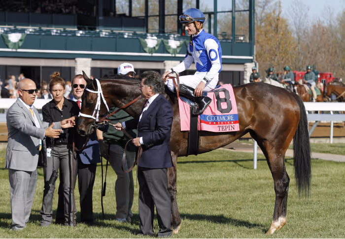 Tepin-Mark-Casse-blog