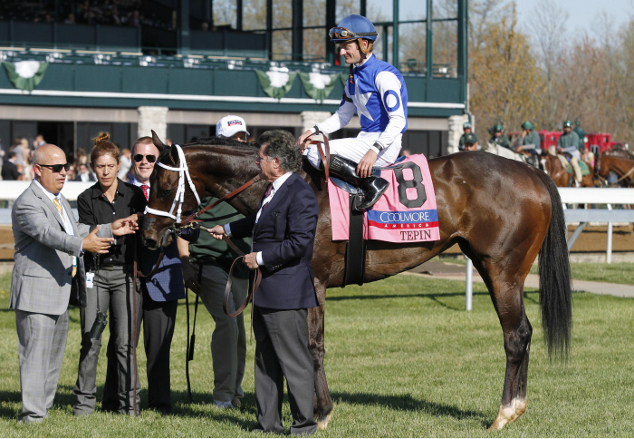 Tepin-Mark-Casse-blog