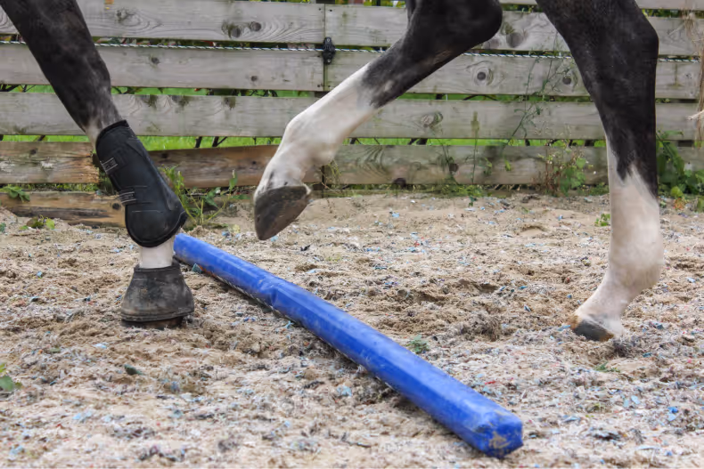 rehabilitation-blog-image-6