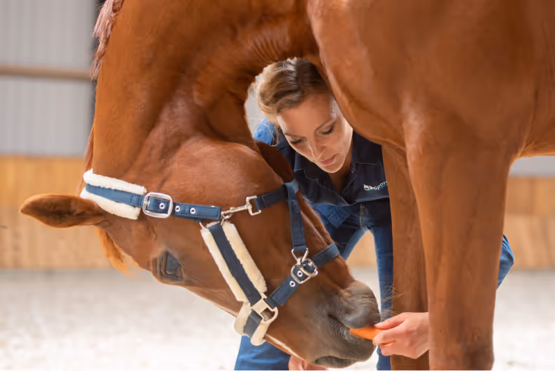 rehabilitation-blog-image-4