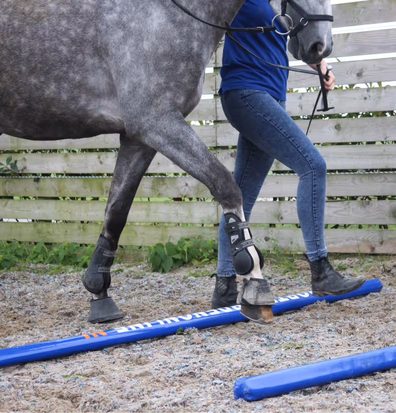 rehabilitation-blog-image-7