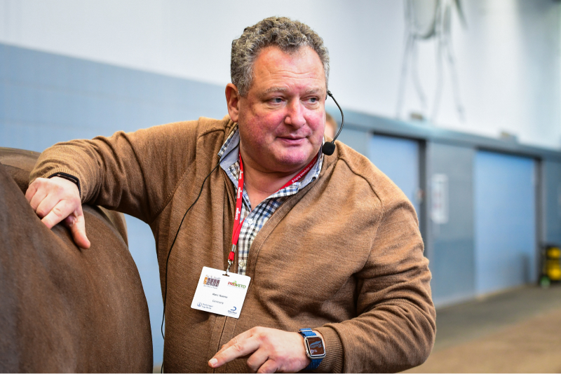 Marc Koene at Jumping Amsterdam