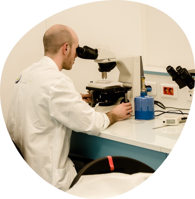 Isolation of microalgal strains