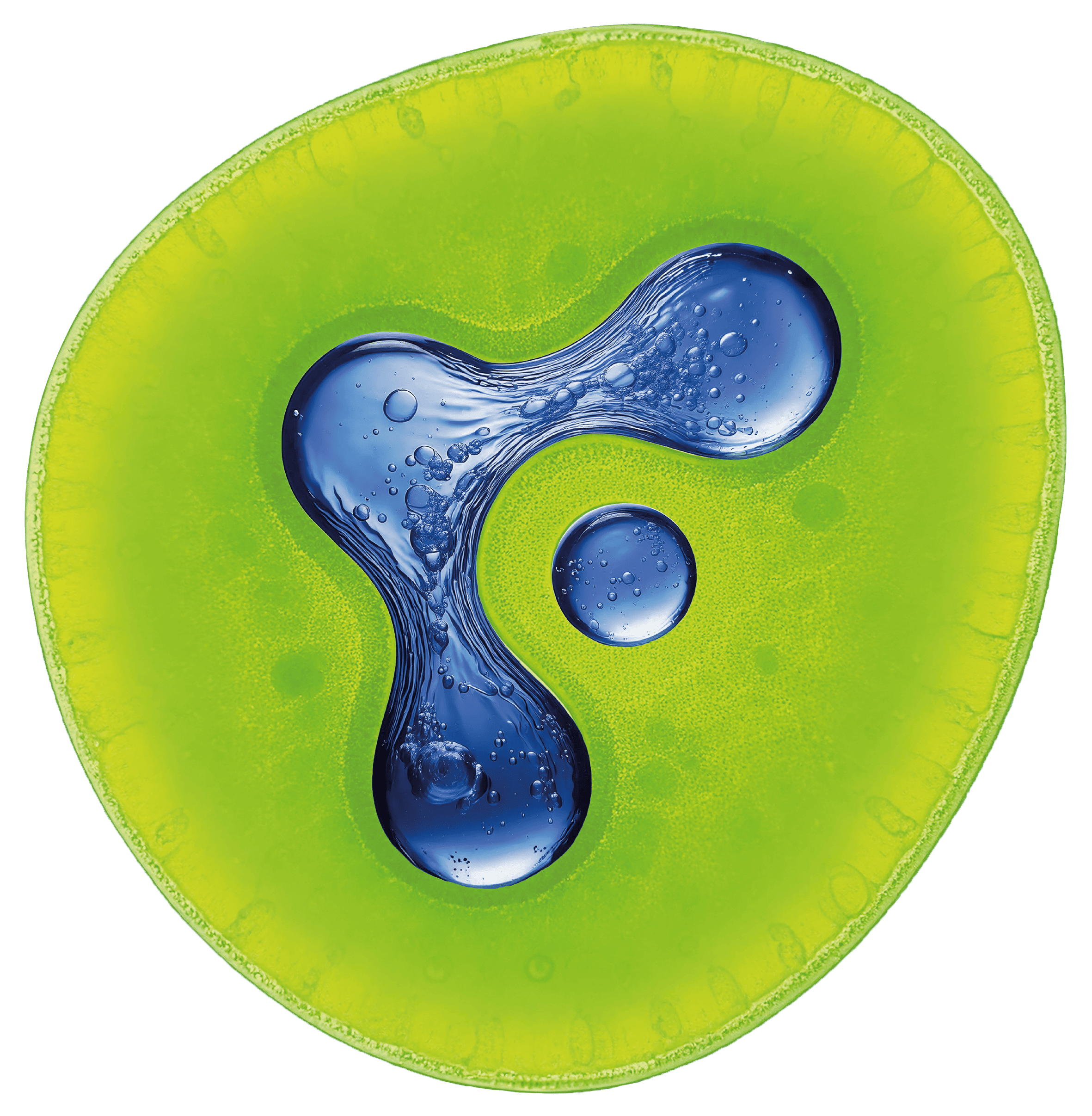 Women's health Webinar