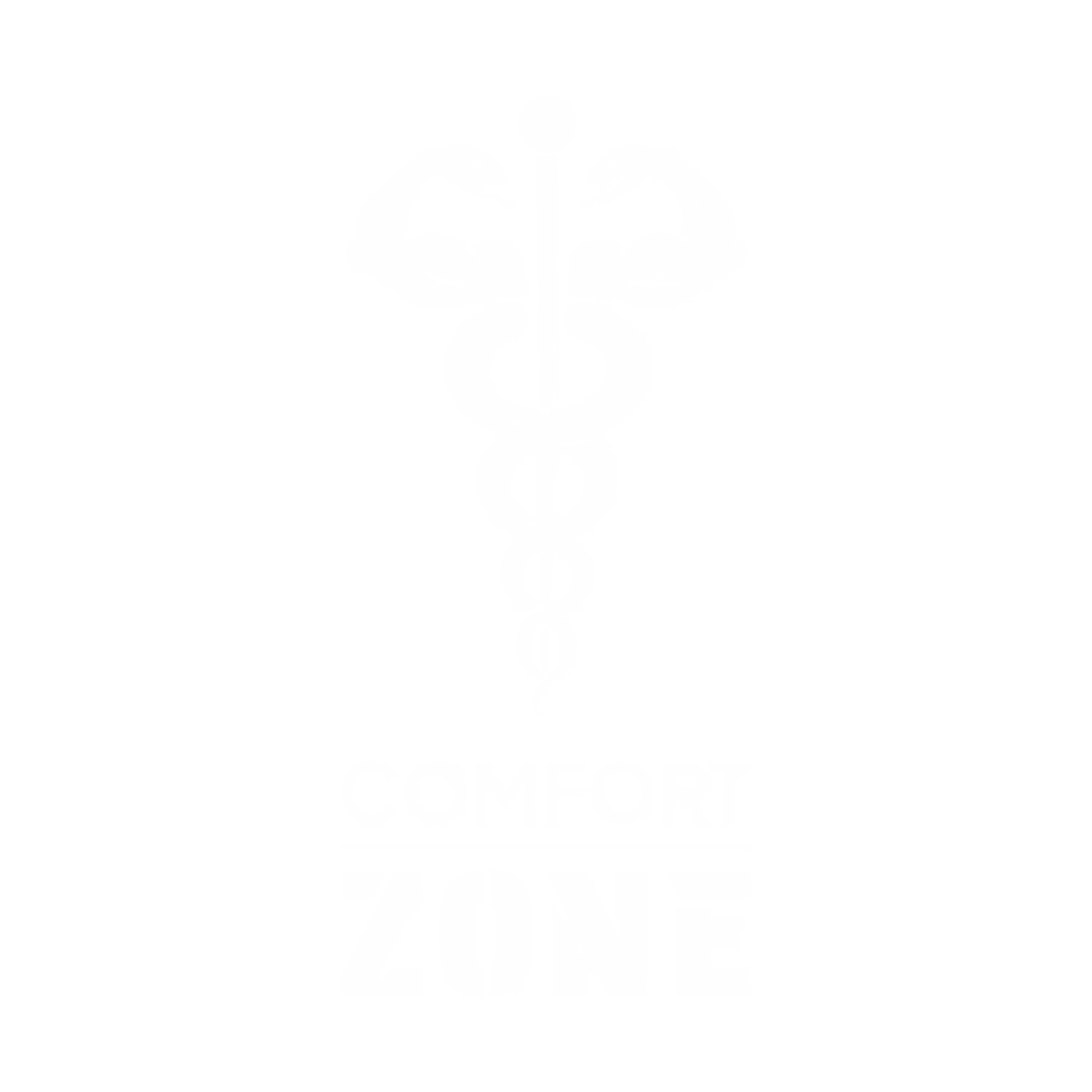 Logo von Comfort Zone – Fitnessstudio Dresden, Kunde der Askara Branding Agentur Dresden