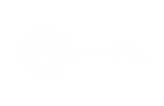 Logo von personal blue – Personalvermittlung, Kunde der Askara Webdesign Agentur Dresden