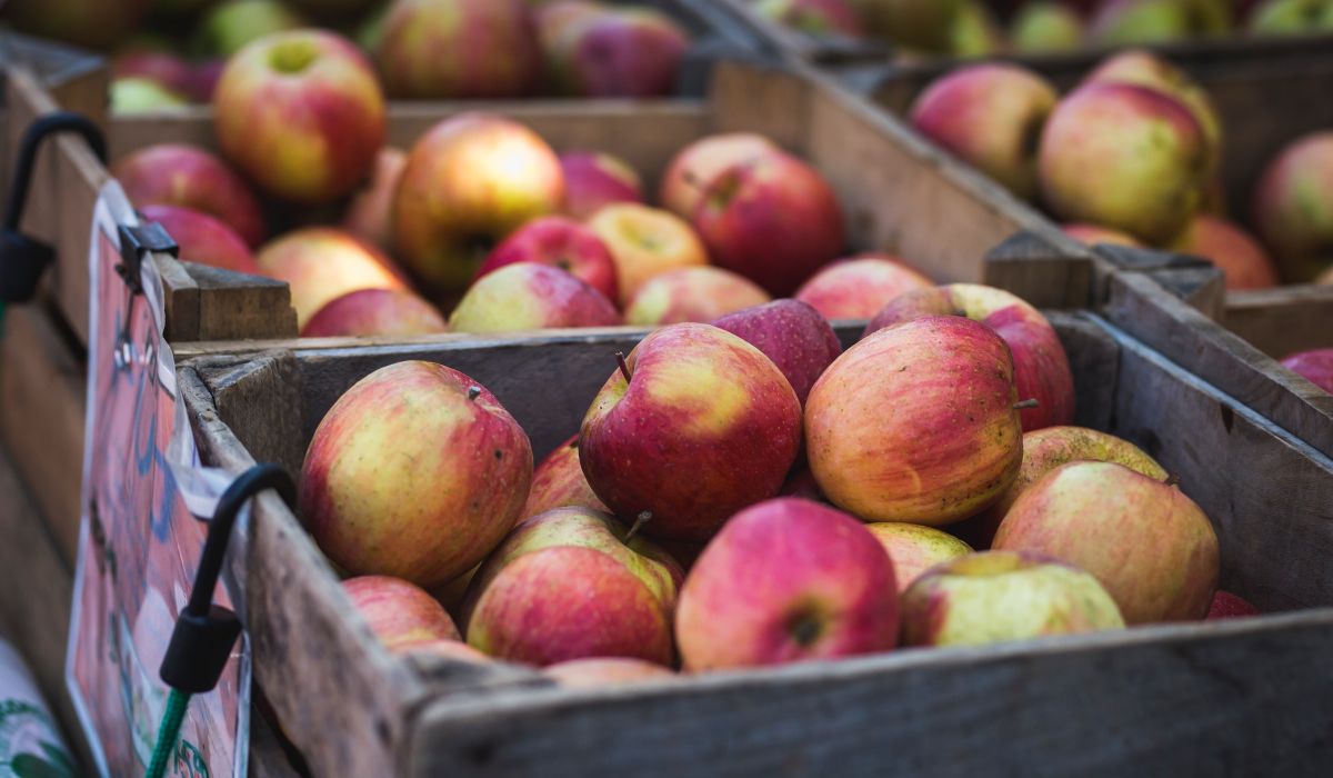 Recurso do Kyte fez diferença para comerciante em Barbados; saiba qual