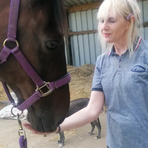 Horse riding adventure