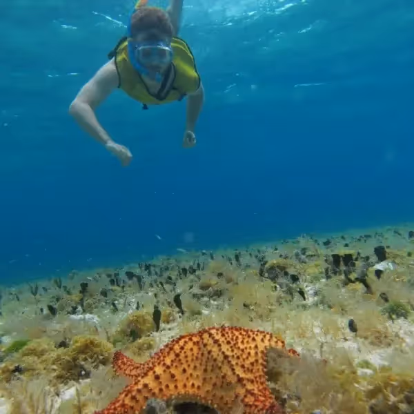 A snorkelling adventure