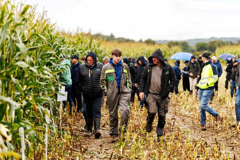 Smart Irrigation Ilustration