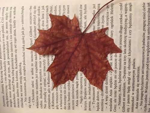 Die lebendige Sprache