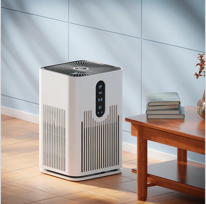 Designing Nexora Health Digital Platform