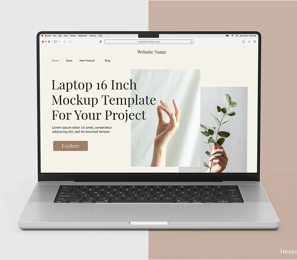Web Development