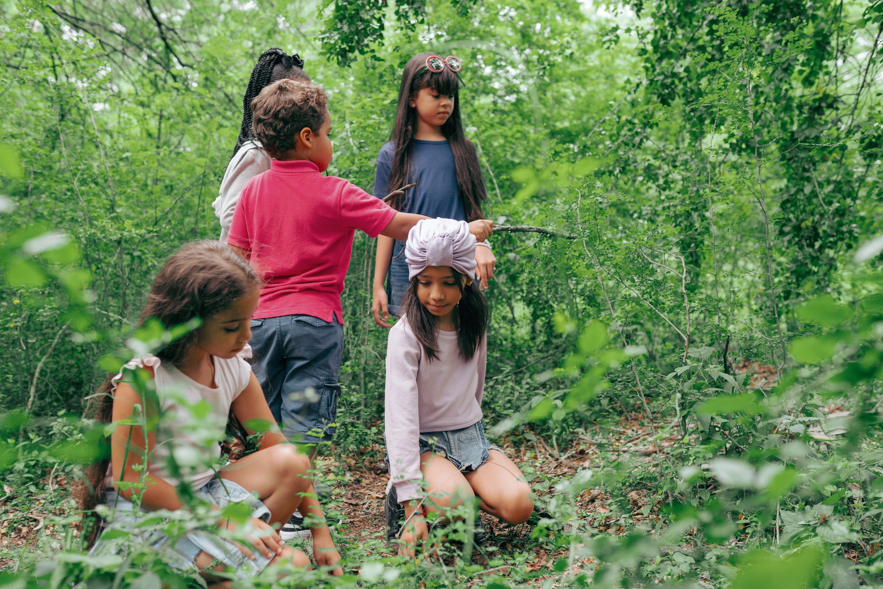 A group of children play together among green trees in the woods