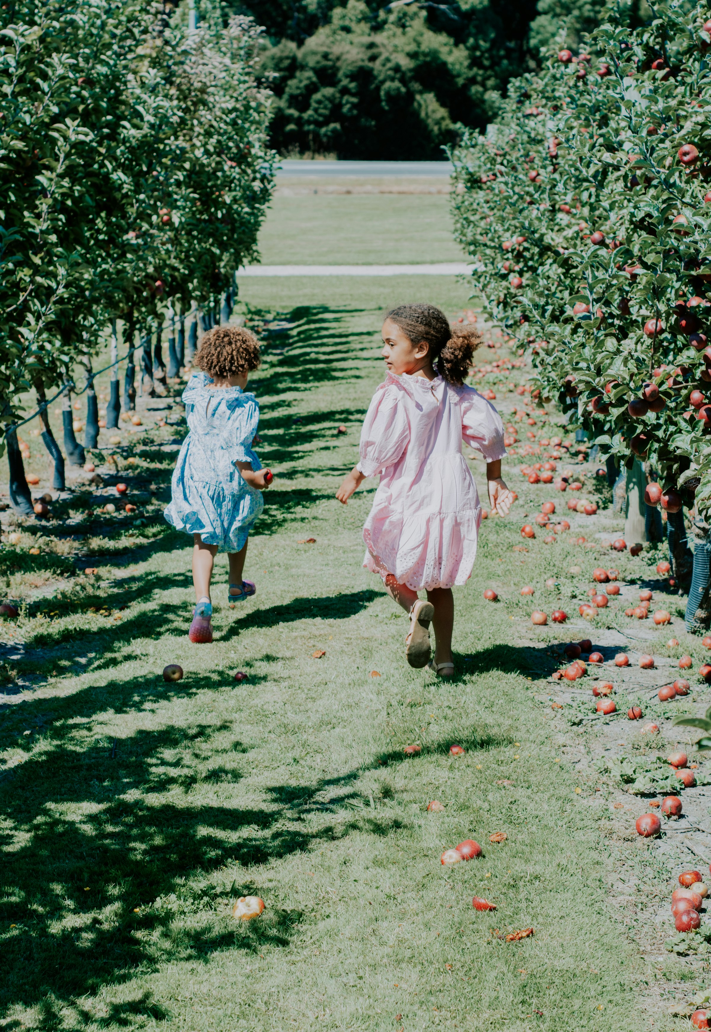 Two girls run down a grassy orchard row