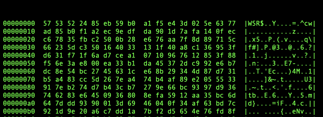 WhiteSnake-encrypted report