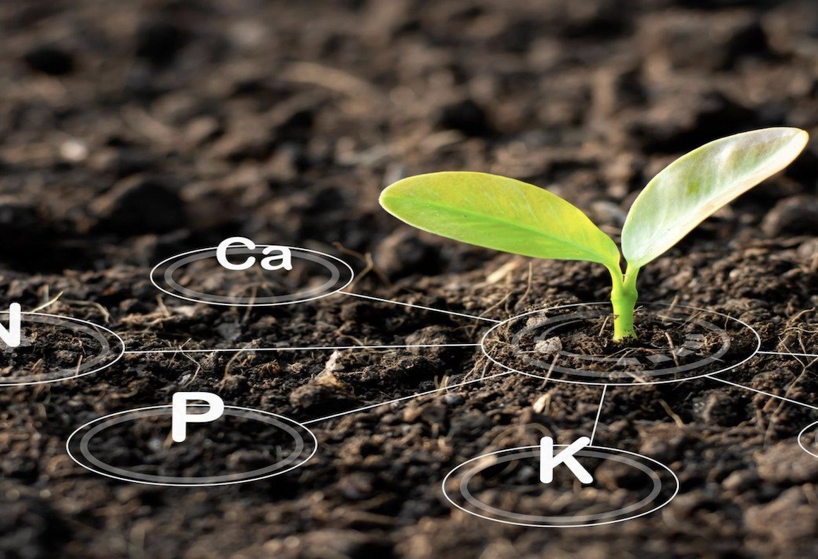 soil health workshop