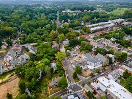 Aerial view of a suburban area with tree-lined streets, houses, and greenery extending into the distance.