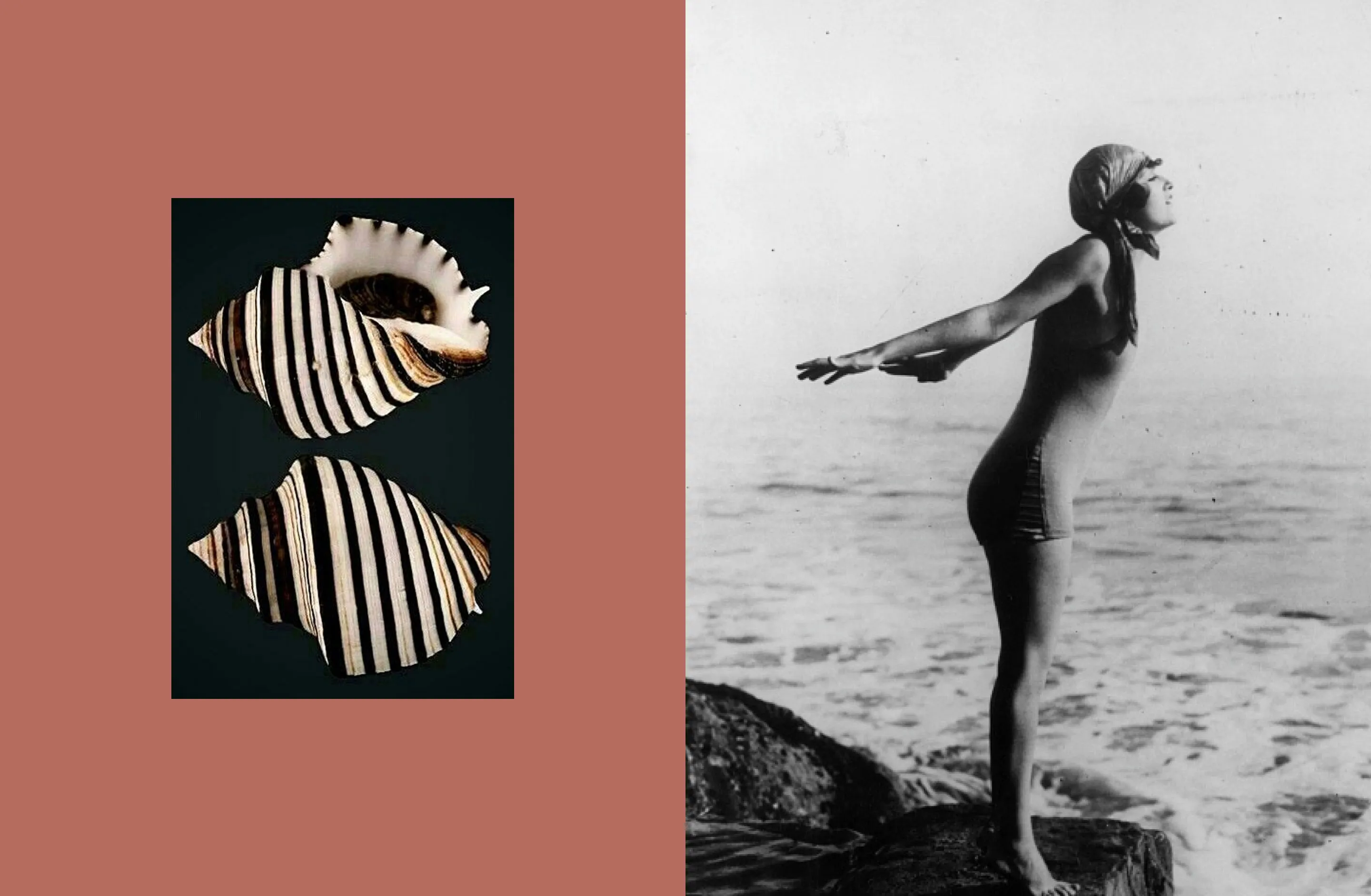 Two striped seashells on a brown background next to a black and white photo of a woman standing by the ocean with arms outstretched.