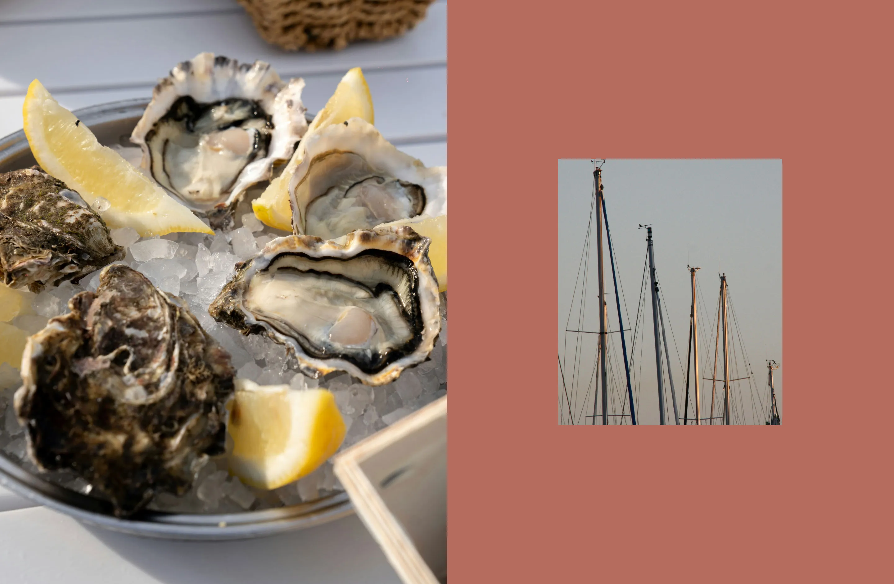 A plate of oysters with lemon wedges on ice next to a photo of sailboat masts against a plain, muted background.